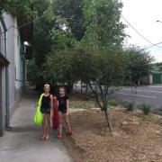 IMG_3155.JPG