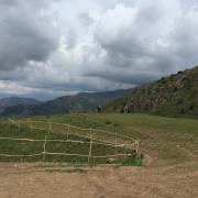 IMG_3318.JPG